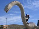 Kyle Pickering and Bobby McDowell walking across Canada